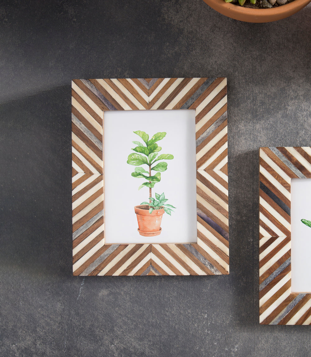 Brown and beige picture frame with a picture of a leaf in a planter inside - picture frame collection from Better World Bio