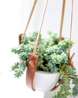 Small Flourish Plant Hanger