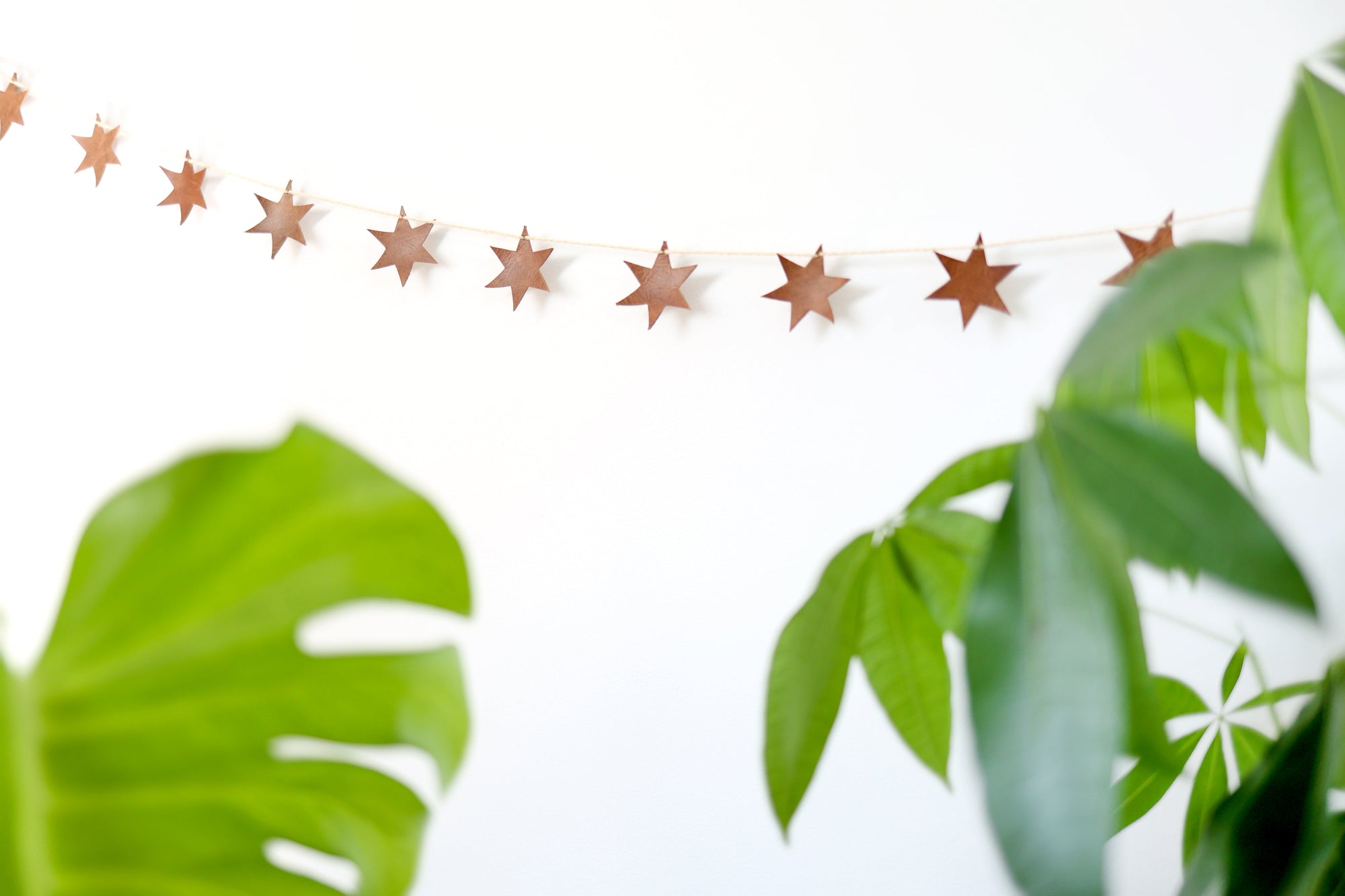A garland made of brown leather stars strung together on a string hanging horizontally on a white wall behind plants