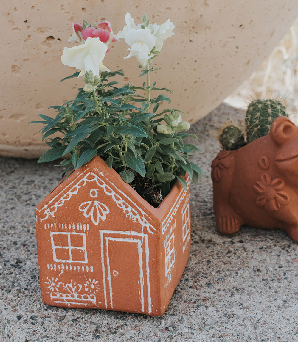 A ceramic planter in the shape of a house with white painted design, containing a green plant on a table next to  frog planter