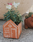 Vasanta House Terracotta Planter with Drainage