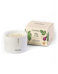 Fig Leaf Scented Triple Wick Candle