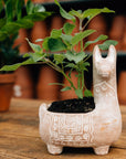 Llama Terracotta Planter