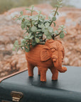 Rakshana Elephant Plant Pot - Terracotta