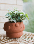 Rakshana Mushroom Plant Pot - Terracotta