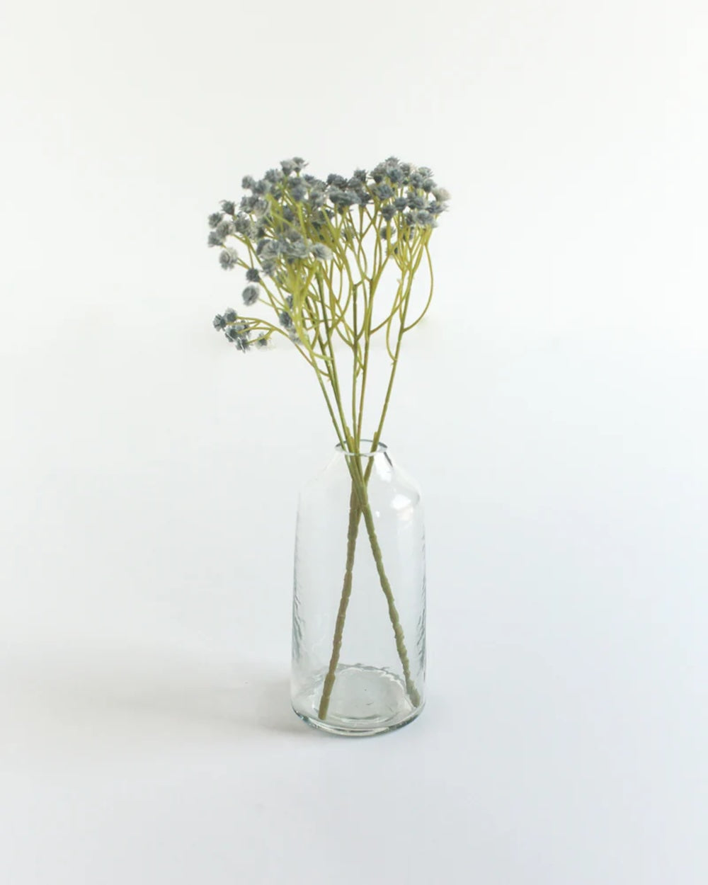 Clear glass vase with dried flowers on a white background