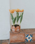 Vasanta Petals Terracotta Planter with Drainage