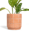 Large Grid Terracotta Planter