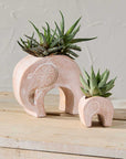 Two red and white elephant-shaped planters with succulents on a wooden surface.