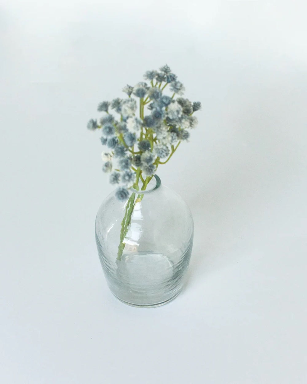 Clear glass vase with blue dried flowers on a white background