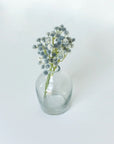 Clear glass vase with blue dried flowers on a white background