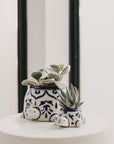 Lalita Baby Turtle Succulent Planter