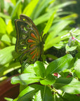 Orange Butterfly Stake