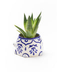 Lalita Mama Turtle Succulent Hand Painted Planter