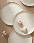 Tunisian Matte White Stoneware Dinner Plate - Set of 4