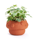 A terracotta plant pot designed to resemble a mushroom, with a green plant growing in it.