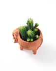 Rakshana Elephant Plant Pot - Terracotta