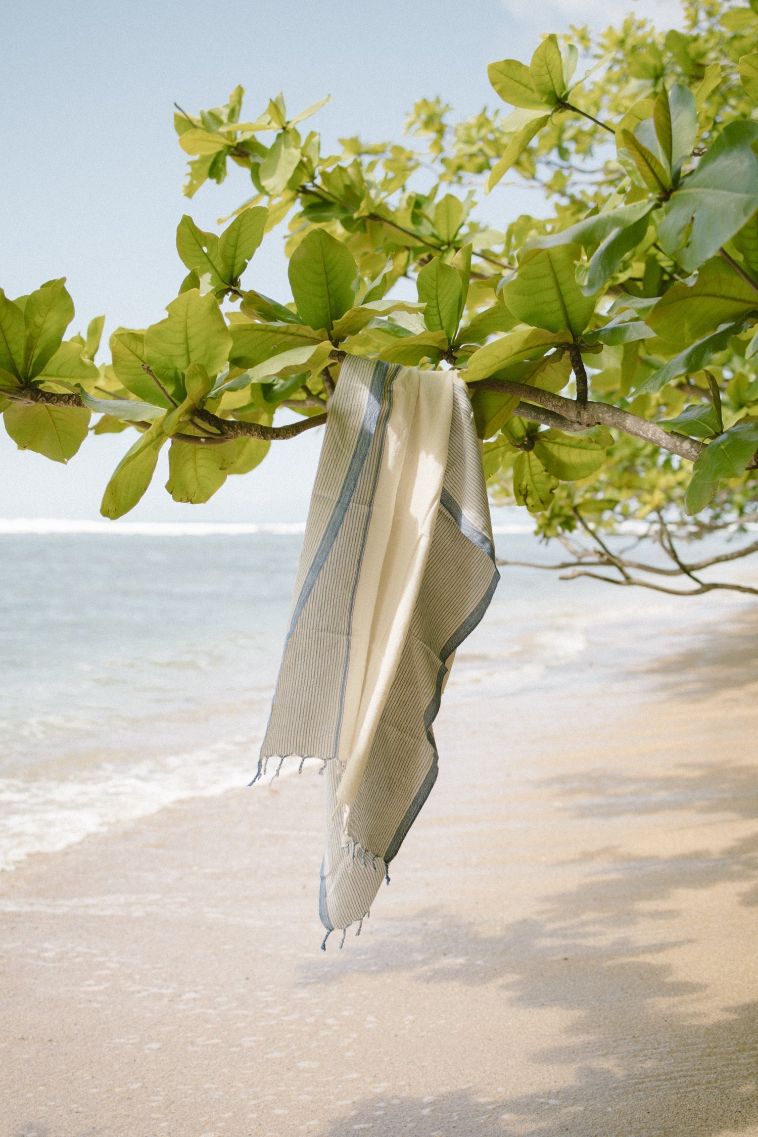 A beige and blue striped Turkish towel hanging on a tree branch with the ocean in the background