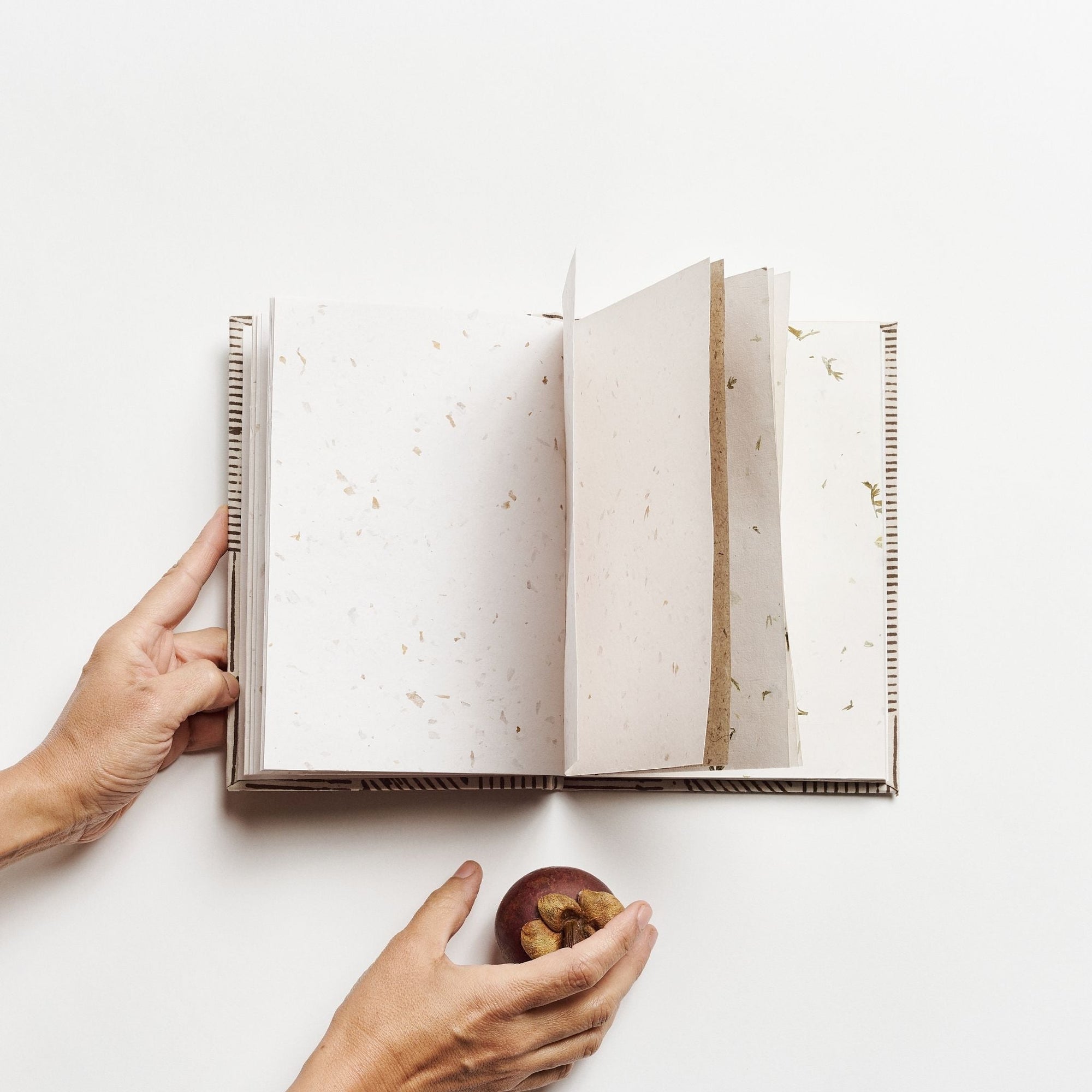 Open notebook with a hand holding a small object on a white background