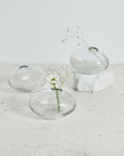 Three clear glass vases with small plants on a marble surface