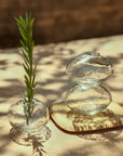 Clear glass vase with a plant and two stacked glass stones on a wooden surface.