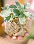 Mini Unbound Jute Planter