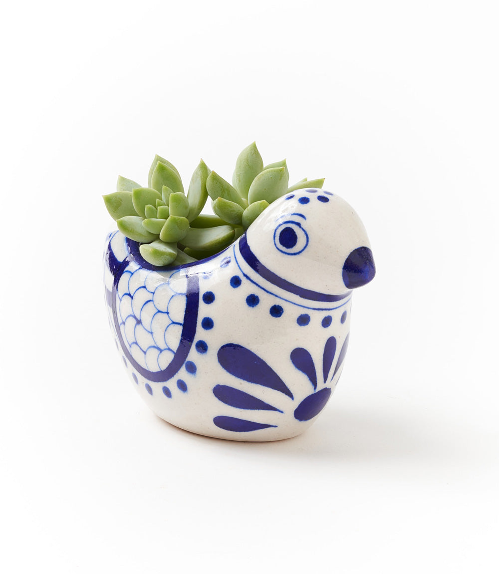 A hand painted ceramic planter in the shape of a bird with blue patterns on a white background, containing a small succulent