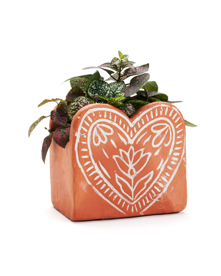 A terracotta planter with a heart shape design, featuring drainage, and filled with plants.
