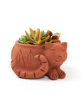 A terracotta plant pot in the shape of a sleeping cat, filled with a small selection of succulent plants