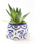 Lalita Mama Turtle Succulent Hand Painted Planter