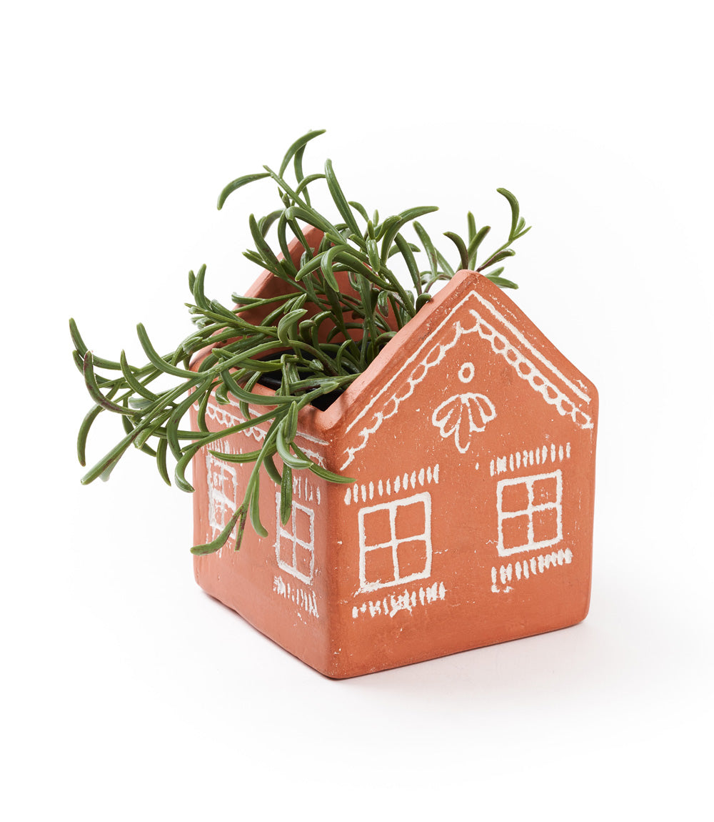 A terracotta planter in the shape of a house with white hand painted accents, containing a green plant.
