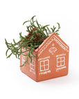 Vasanta House Terracotta Planter with Drainage