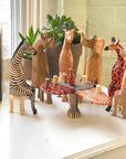 Party Animal Set - Jedando Handicrafts (H)