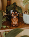 A handmade wooden bear glasses holder with a pair of glasses resting on it on top of a wooden shelf in front of a plant