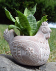 Terracotta Whitewashed Chicken Planter
