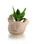 Terracotta Whitewashed Chicken Planter