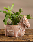Ceramic donkey planter with a plant on a wooden surface
