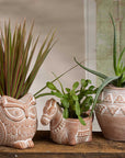 Terracotta Donkey Planter