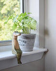 Alligator shelf sitter on a windowsill next to a pot