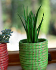 Succulent Basket Planter