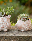 Happy Hedgehog Terracotta Planter With Drainage Hole