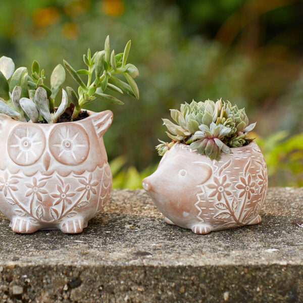 Happy Hedgehog Terracotta Planter With Drainage Hole