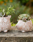 Happy Hedgehog Terracotta Planter With Drainage Hole
