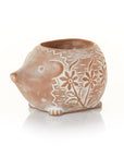 Happy Hedgehog Terracotta Planter With Drainage Hole