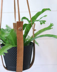Large Flourish Leather Plant Hanger