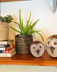 Succulent Basket Planter