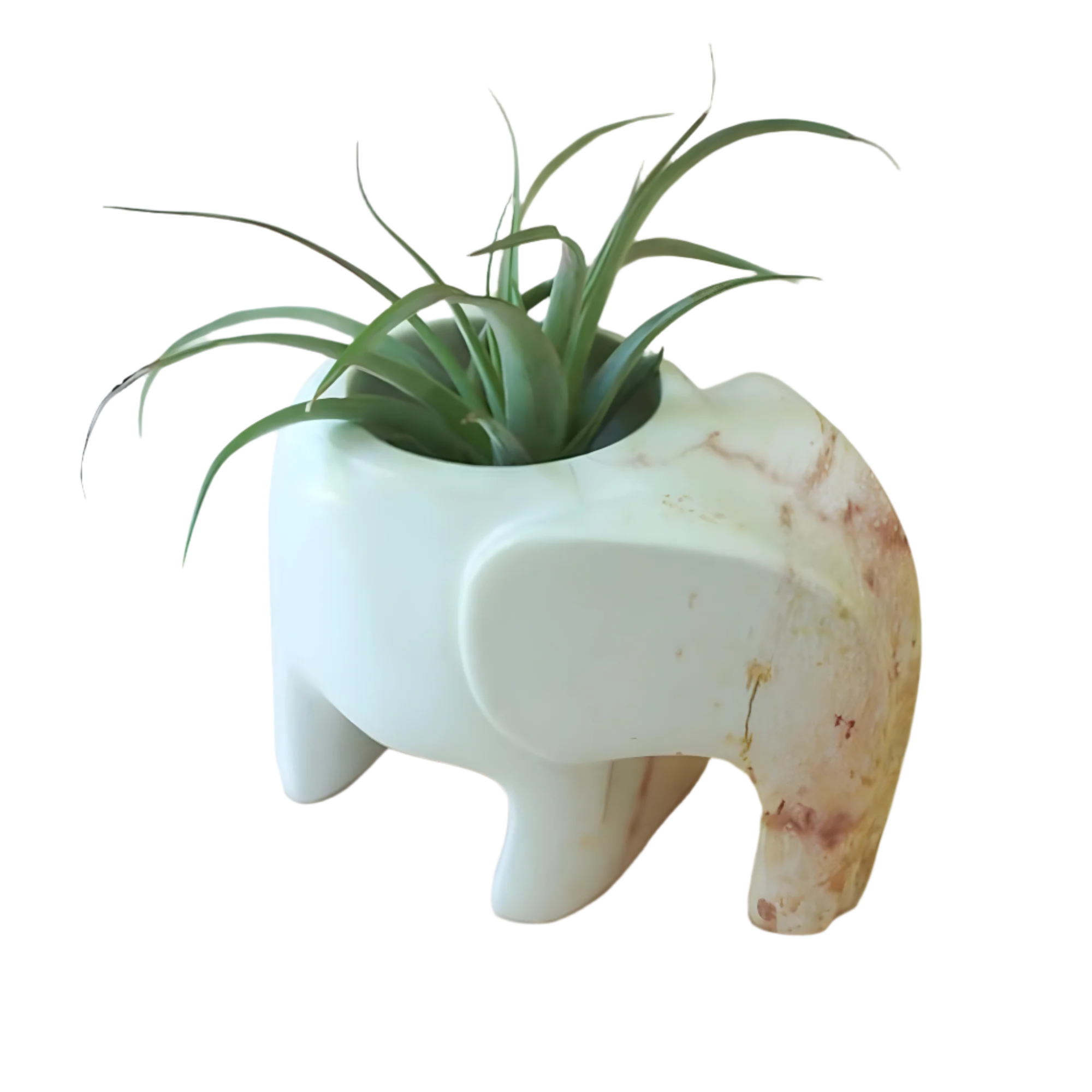 A hand-carved natural stone elephant-shaped dish with a plant inside, featuring natural colors such as cream, gray, pink, and brown
