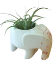 A hand-carved natural stone elephant-shaped dish with a plant inside, featuring natural colors such as cream, gray, pink, and brown