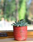 Succulent Basket Planter
