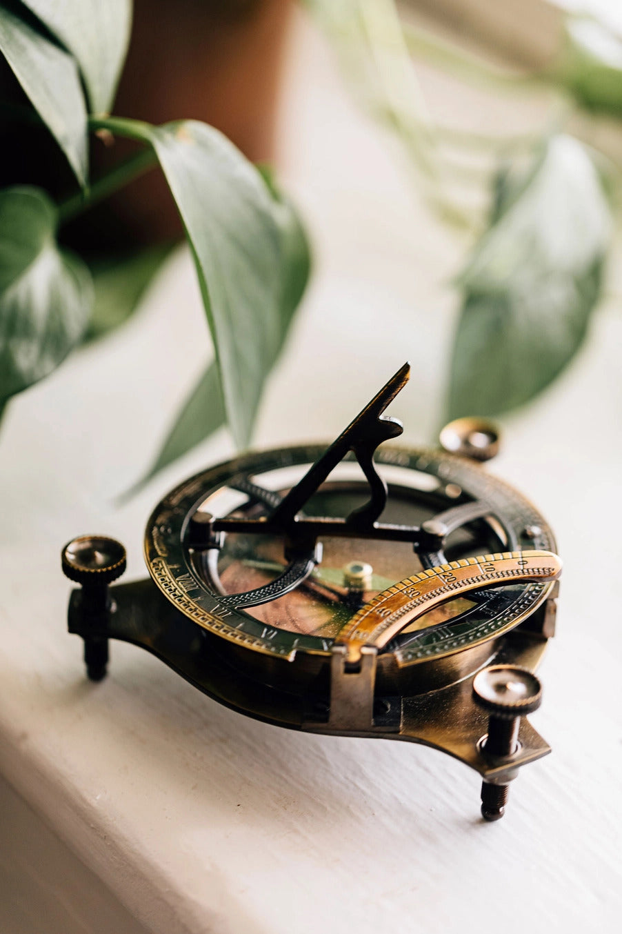 Vintage-style compass on a white surface with green leaves in the background